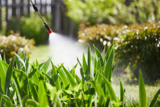 Tamper-Resistant Bait Stations for Rodents in Graniteville