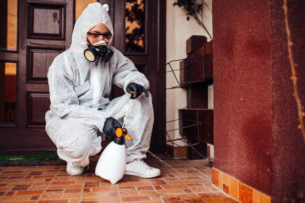Attic and Crawl Space Rodent Treatment in Graniteville