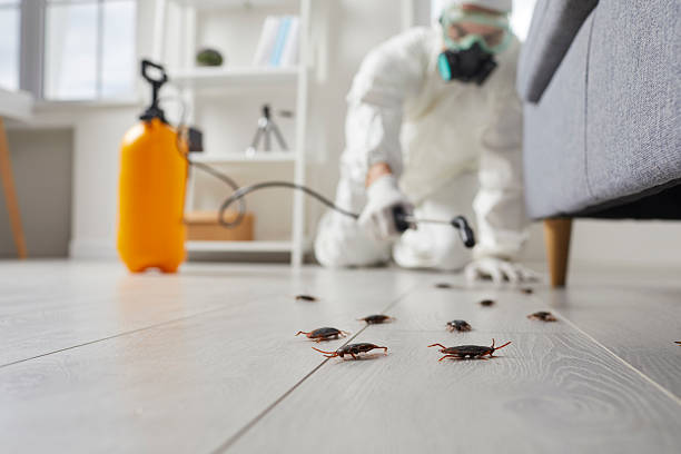 Commercial Rodent Management in Graniteville